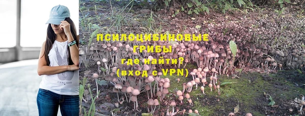 mix Вязьма
